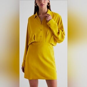 Express Elegant Chartreuse Women's Dress